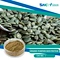SNC | Good Fortune is a professional Organic Pumpkin Seed Protein supplier in China supplies all kinds of healthy ingredient.